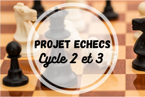 Présentation du jeu des échecs