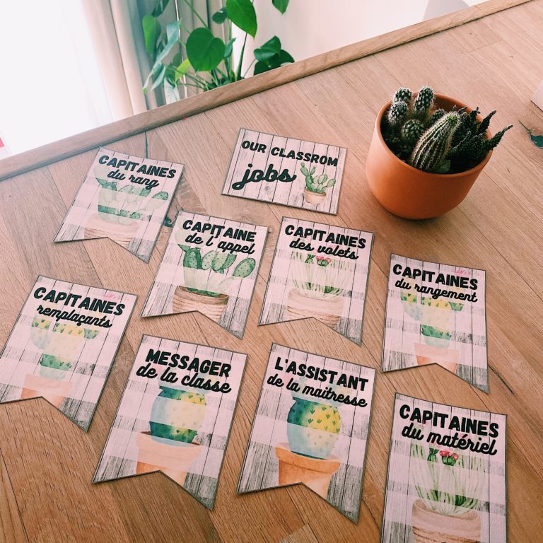 Affichages Métiers & Anniversaires – version cactus