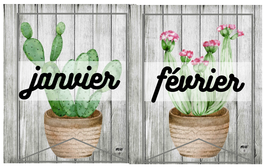 Affichages Metiers Anniversaires Version Cactus Maitresse De La Foret